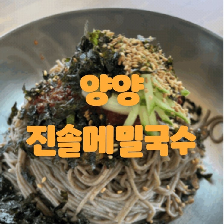 양양 맛집 < 진솔 메밀국수>| 양양 막국수집 추천