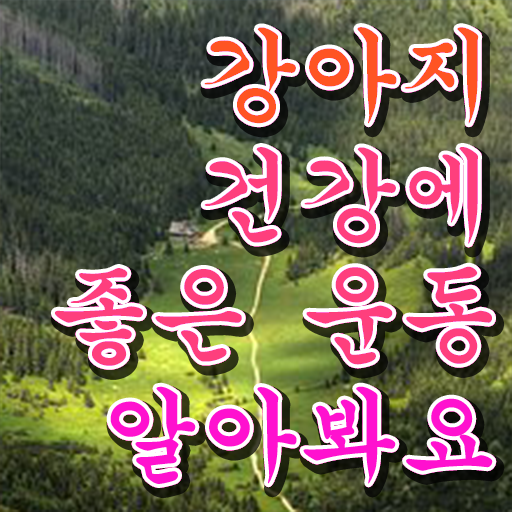  40대후반자격증 , 반려견운동지도사 온라인 수업만으로 준비한 과정