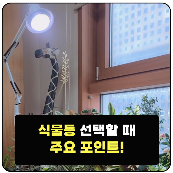 식물 조명등 고를 때 3가지 포인트