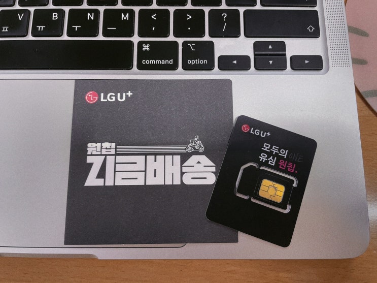  LG 원칩 지금배송 유심 신청 후 집에서 개통하기