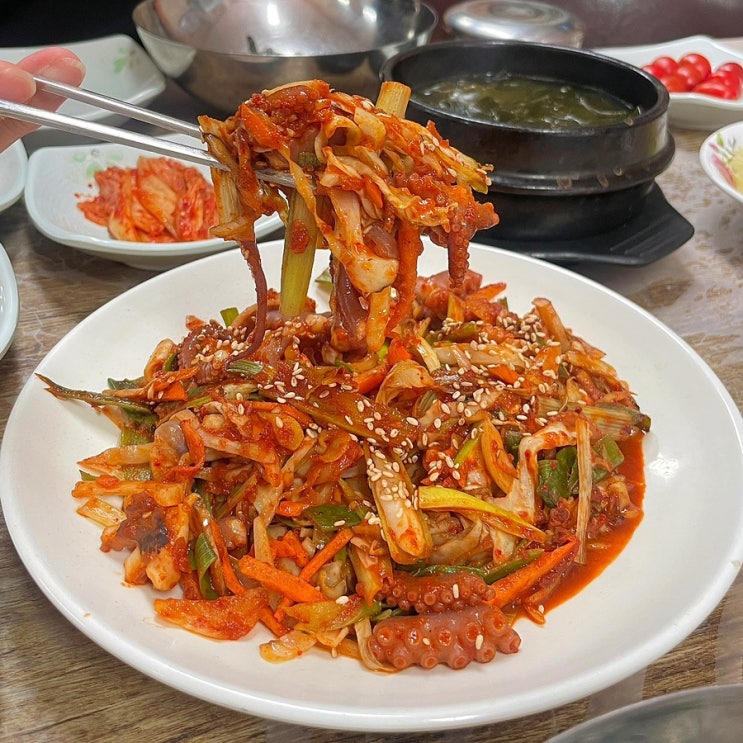 목포 산정동 낙지볶음 맛집 낙지둠벙 목포 산정동 낙지볶음 맛집 낙지둠벙