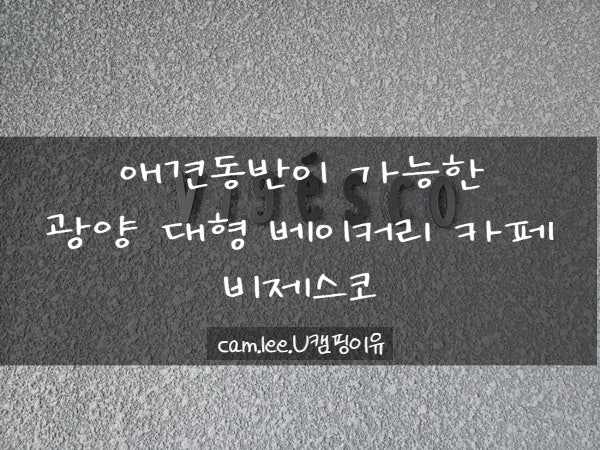 사진 5