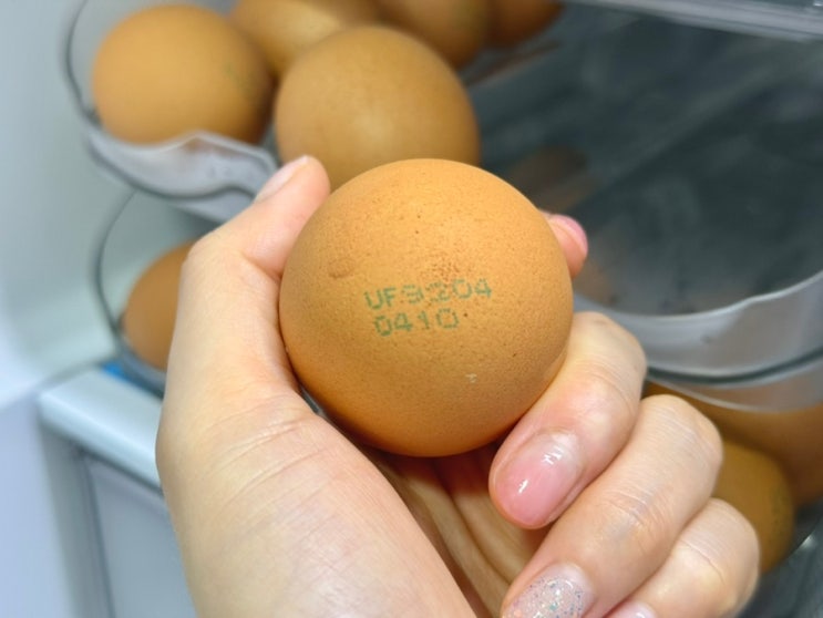  한달 지난 계란 유통기한 소비기한 달걀 냉장고 보관방법 정리