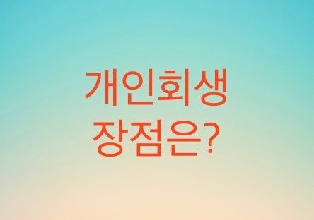  개인회생 장점에 대해서 알아보자 (현실적으로 장점보다 단점이 많습니다) 필자의 주관적 의견
