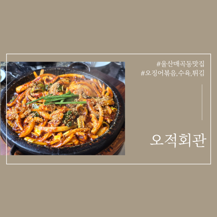  울산매곡동맛집 오징어요리전문 오적회관