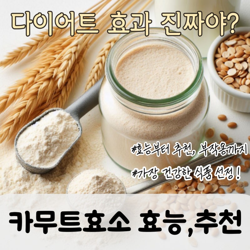 카무트효소 다이어트 추천 효능 6개월 내돈내산 먹어본 후기