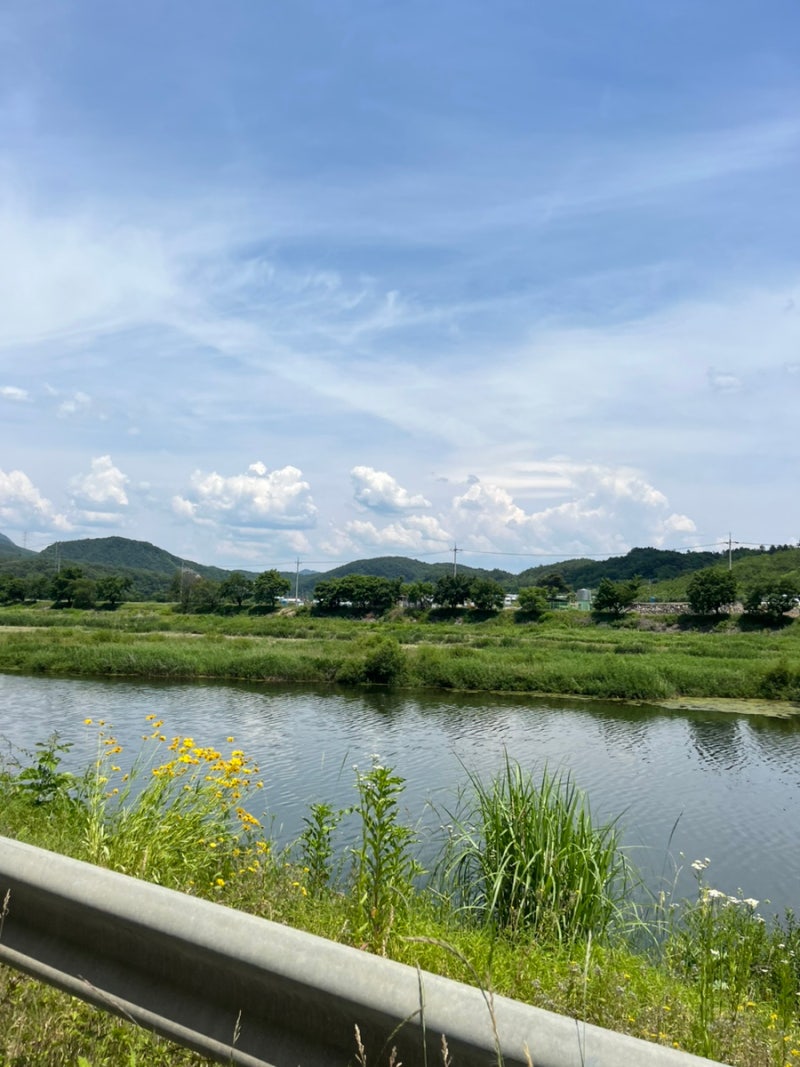 사진 3