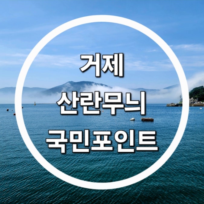 거제 무늬오징어 포인트 (산란 무늬 국민 포인트)