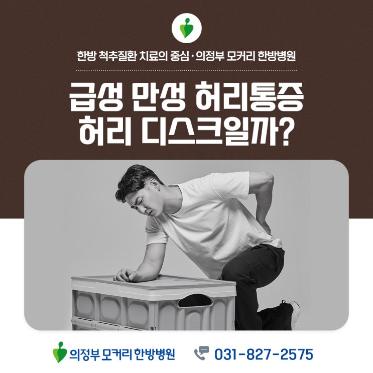  허리 통증, 디스크일까? 급성 만성 허리 통증 알아보기