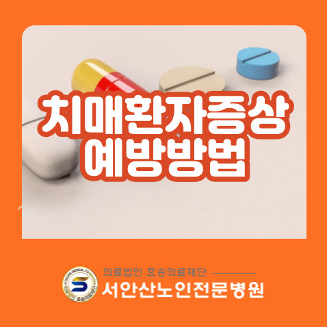  안산요양병원에서 치매환자의 유형과 치매예방법