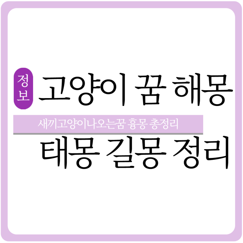 새끼고양이나오는꿈 고양이꿈 태몽 길몽 흉몽 총정리