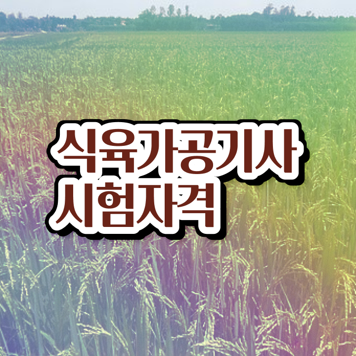  식육가공기사 시험접수 식육가공기사 시험자격 온라인 과정으로 15주만에 끝낸 전략