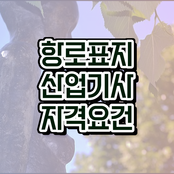  항로표지산업기사 필기 시험 항로표지산업기사 자격요건 온라인 수업으로 5달만에 성공한 방법