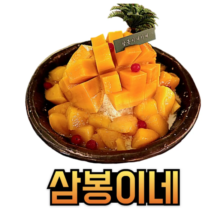  [내돈내먹]단양 도담삼봉카페 망고빙수맛집 삼봉이네 cafe