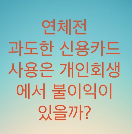  연체전에 과도한 신용카드 사용은 개인회생시 문제가 되는지 알아보자
