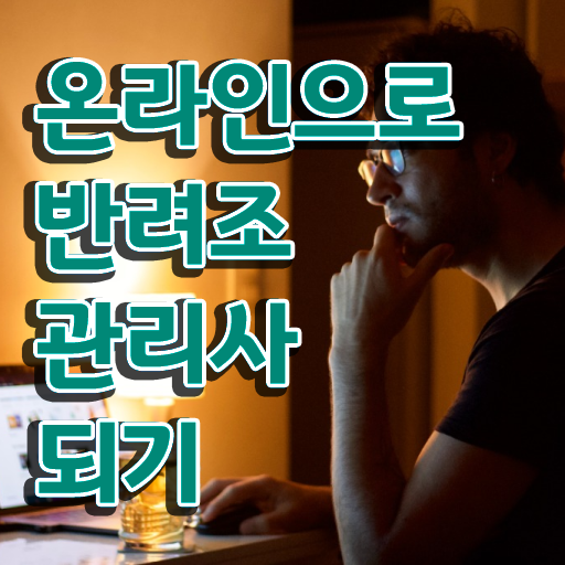  사랑앵무 이유식 , 반려조관리사 자격증 취득했던 후기 콕콕 짚어드립니다