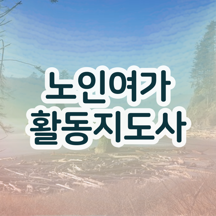  노인여가활동지도사 전문가 , 노인여가활동지도사 간단하게 취득 정보