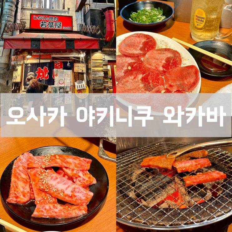  일본 오사카 난바역 맛집 야키니쿠 와카바 임영웅님도 다녀간 가성비 와규 식당 가격