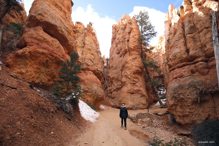 미국 서부 브라이스 캐년(Bryce Canyon) - 나바호 루프, 퀸즈가든 트레일, 미국 국립공원 투어 미국 서부 브라이스 캐년(Bryce Canyon) - 나바호 루프, 퀸즈가든 트레일, 미국 국립공원 투어