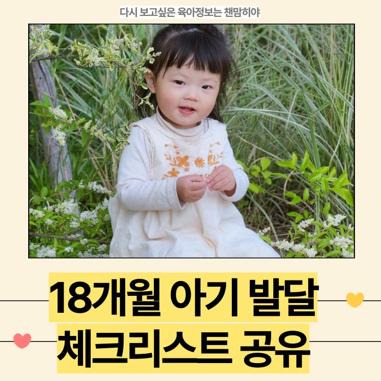  18개월아기 발달 체크리스트 신체 인지 언어 사회성 공유