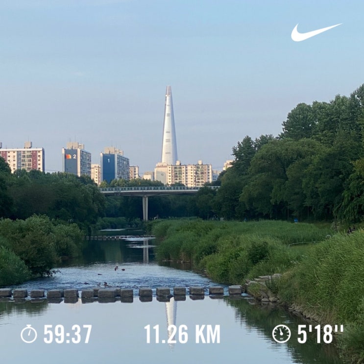  러닝로그_240609 회복런 11km