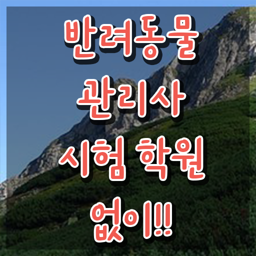  반려동물학과4년제 , 반려동물관리사 자격증 합격정보 정리해봤어요