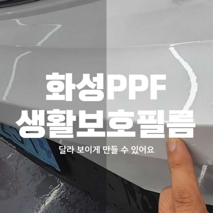  화성PPF 생활보호필름 가성비까지 탄탄하게 작업해 드려요