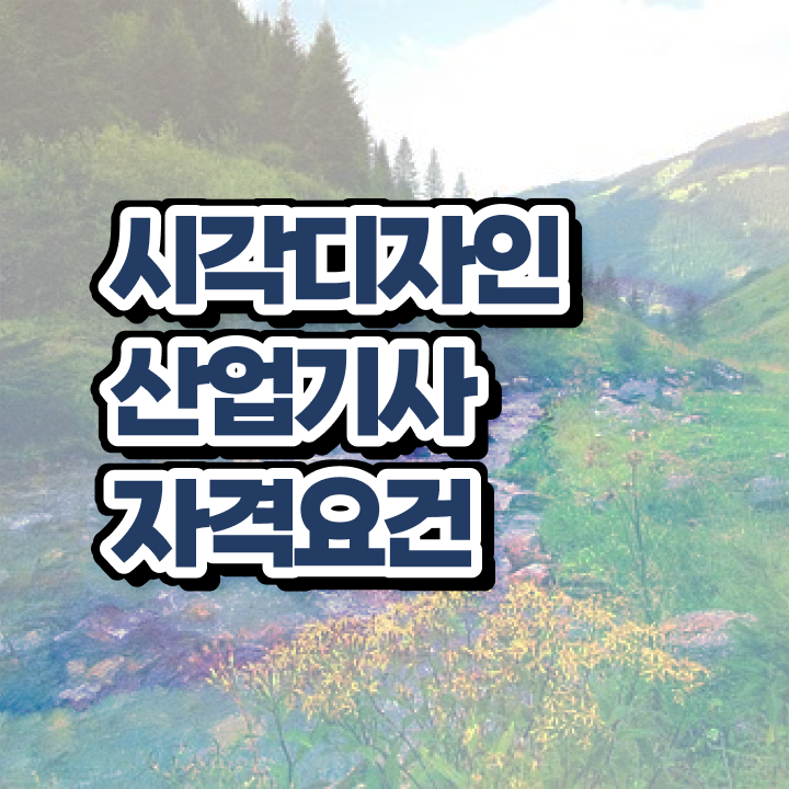  시각디자인산업기사 합격점수 시각디자인산업기사 취득자격 집에서 온라인으로 단기간에 준비한 전략