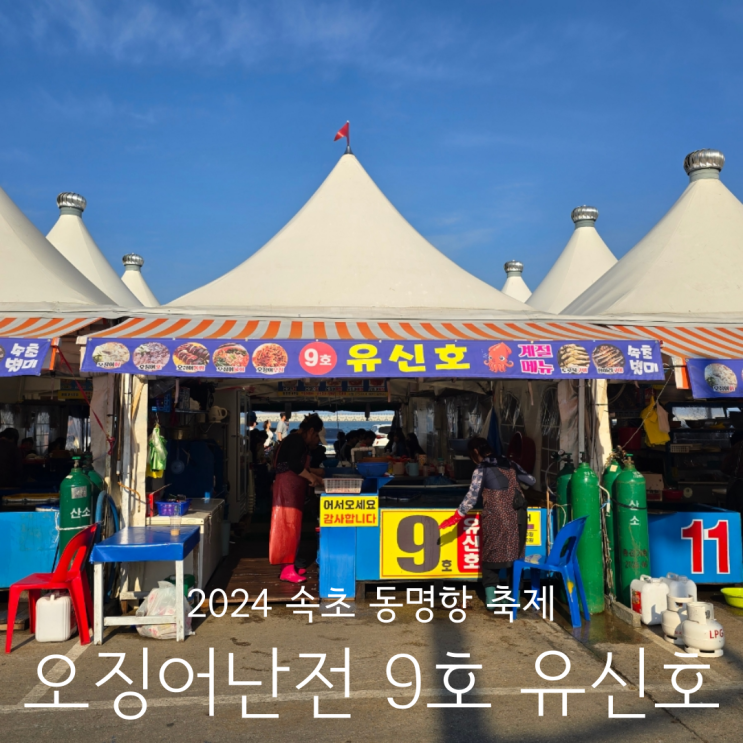  2024 강원도 속초 동명항 오징어난전 기간 영업시간 시세 가격 9호 유신호 애견동반 후기