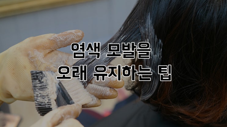  강남역 헤어가 알려주는 염색 모발을 오래 유지하는 팁