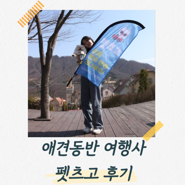  펫츠고, 국내 최조 애견동반 여행사 아시나요?