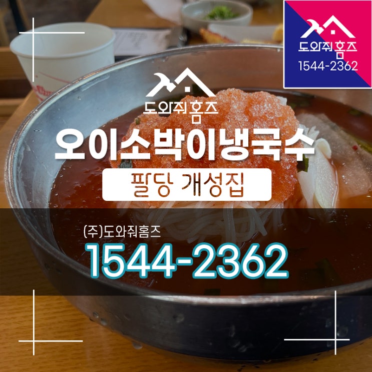  [도와줘홈즈 오늘..] 팔당 개성집 오이소박이냉국수 녹두전 맛집~!