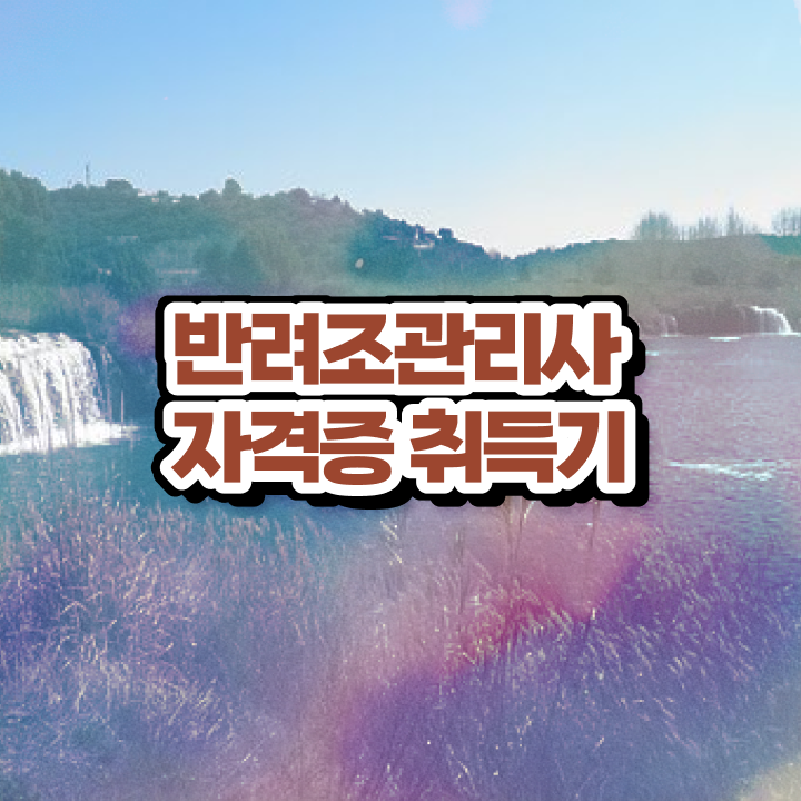  애완조분양 , 반려조관리사 자격증 1급,2급 동시에 합격한 전략 , 취업
