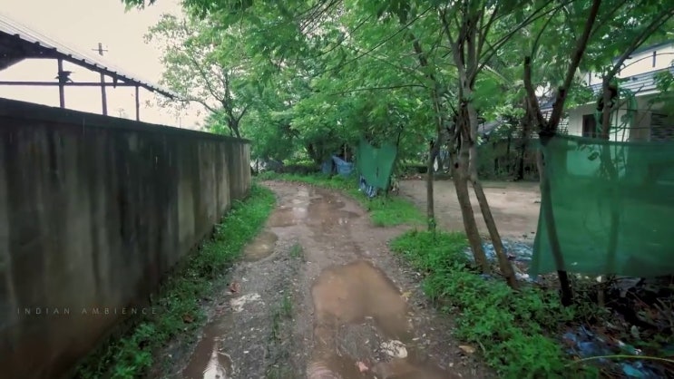 영상판독사 자격증 간단하게 합격정보 알려드립니다