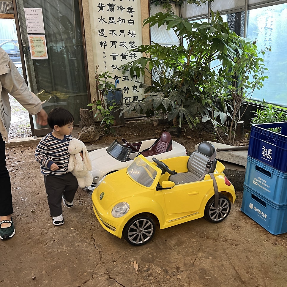 그린파크농장 사진 5