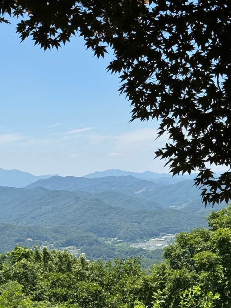  대전 보문산 초보산행 추천 등린이의 시루봉과 보문산성 2시간 코스
