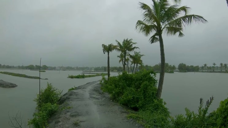  봄버맨 자격증 응시자격 없이 합격한 전략 , 구직정보