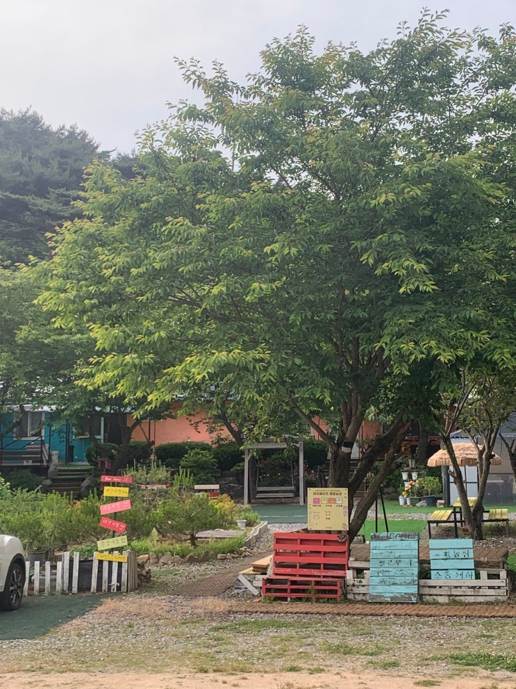  [태안]조용한 서해바다 추천 소풍 게스트하우스