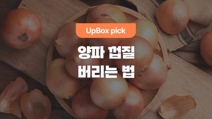  양파 껍질, 일반쓰레기일까? 음식물쓰레기일까?