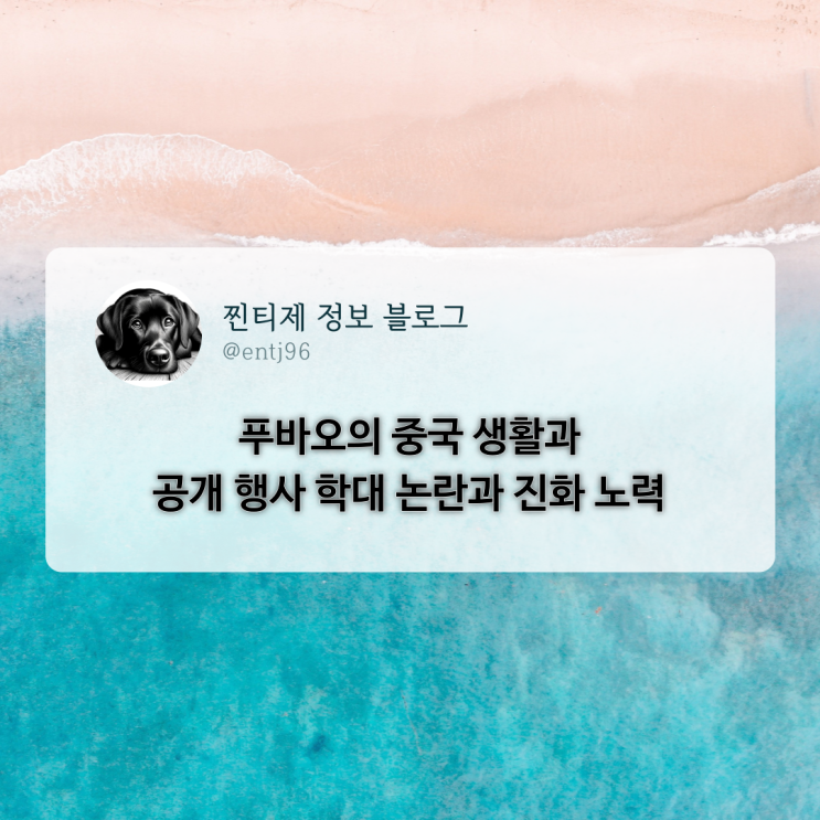 <b>푸바오</b>의 <b>중국</b> 생활과 <b>공개</b> 행사 학대 논란과 진화 노력