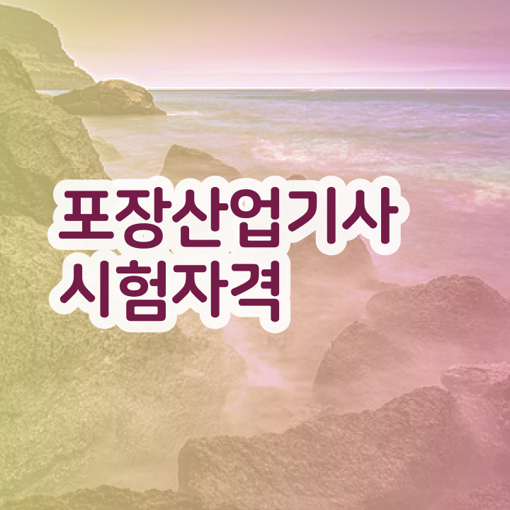  포장산업기사 응시자격 인강으로 5개월 만에 끝낸 전략