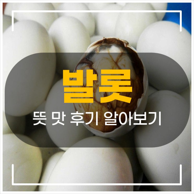  발롯 뜻 맛 후기 알아보기 