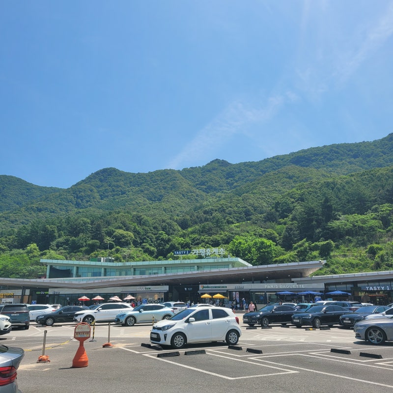 사진 2