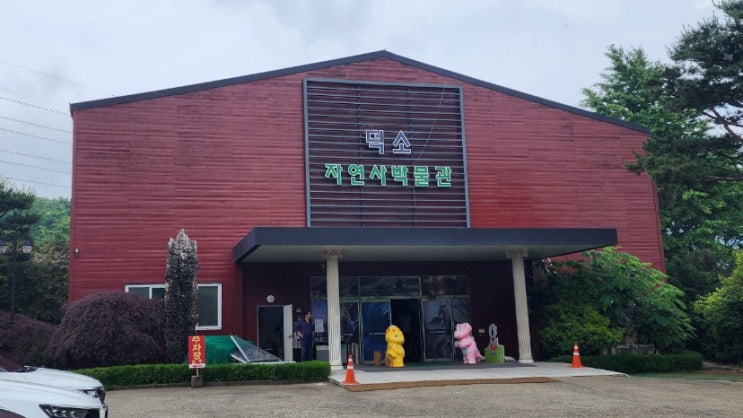  비오는 날, 아이와 함께한 남양주 자연사 박물관 탐험기