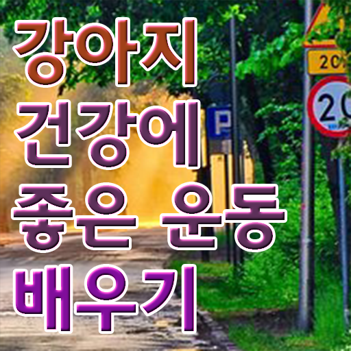  반려견운동지도사 무료수강 , 1급,2급 동시에 반려견운동지도사 취득한 방법 추천합니다