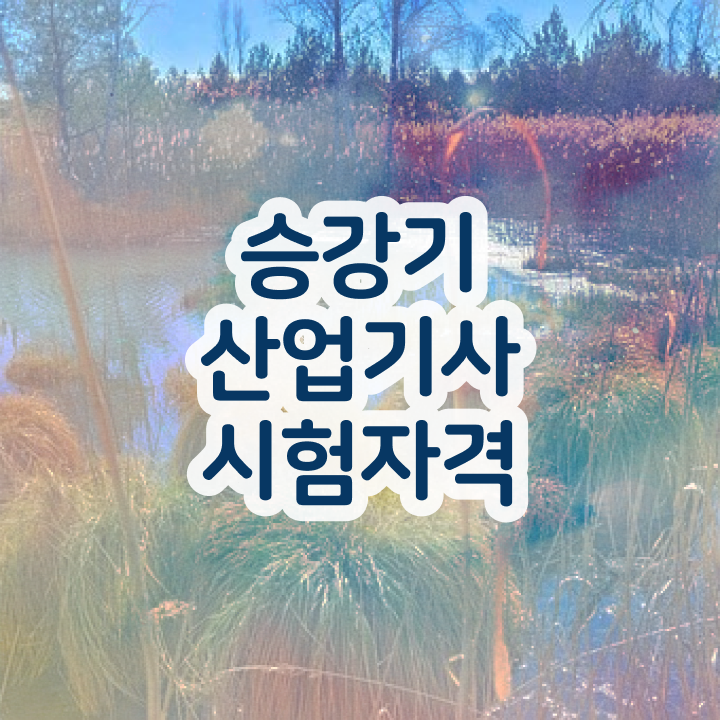  승강기산업기사 실기 승강기산업기사 시험응시조건 인강으로 반 년만에 성공한 전략