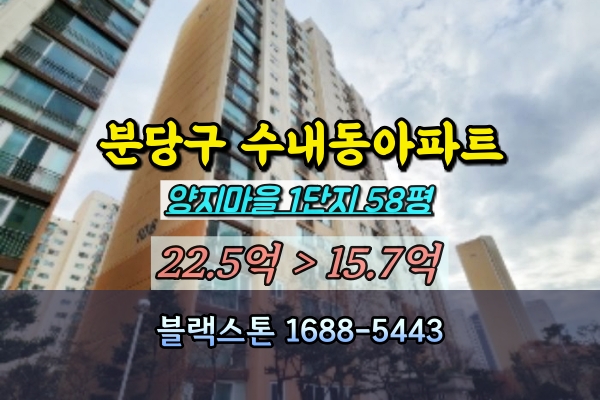  양지금호 1단지 경매 58평 분당구 수내동 아파트 대형평수