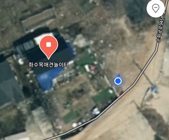 화수목애견놀이터