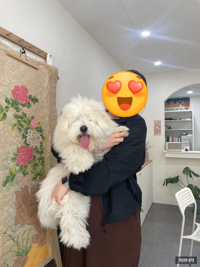  6월의 일상 여전히 평화로운중