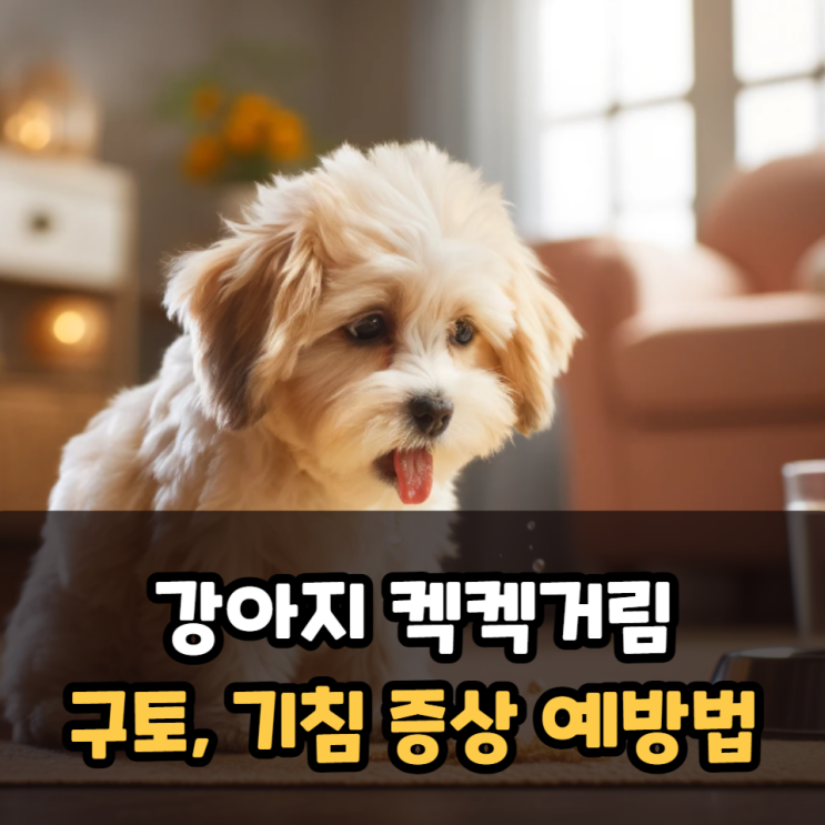  강아지 켁켁거림 구토, 기침 증상 원인과 예방법